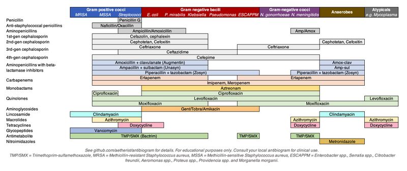 File:Antibiogram.jpg