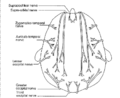 Thumbnail for version as of 00:50, 28 September 2021