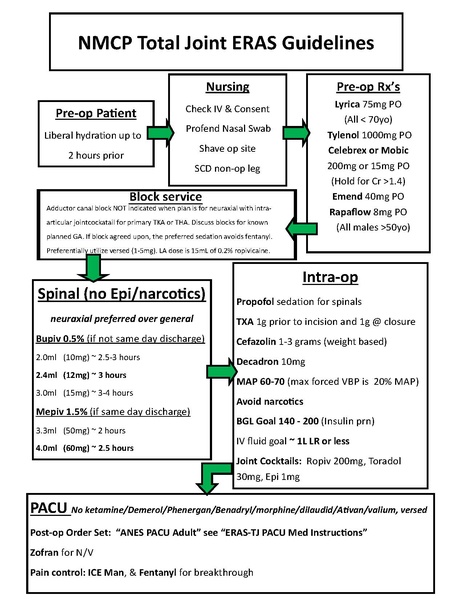 File:ERAS Total Joint Flow Chart Rev JUL 2022.pdf