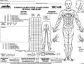 Thumbnail for version as of 16:36, 23 September 2021