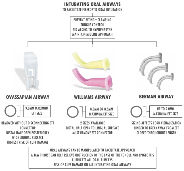 File:Intubating Oral Airways.png