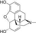 Thumbnail for version as of 09:15, 12 November 2021