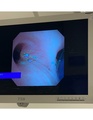Thumbnail for version as of 17:17, 13 November 2021