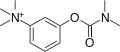 Thumbnail for version as of 10:58, 12 November 2021