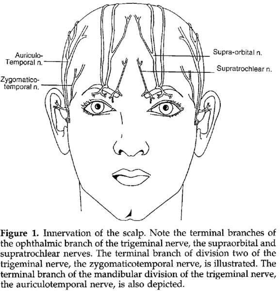 File:Scalp Block.png