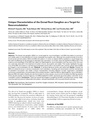 Thumbnail for version as of 22:09, 7 March 2024
