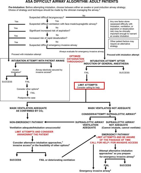 File:Wiki.jpg